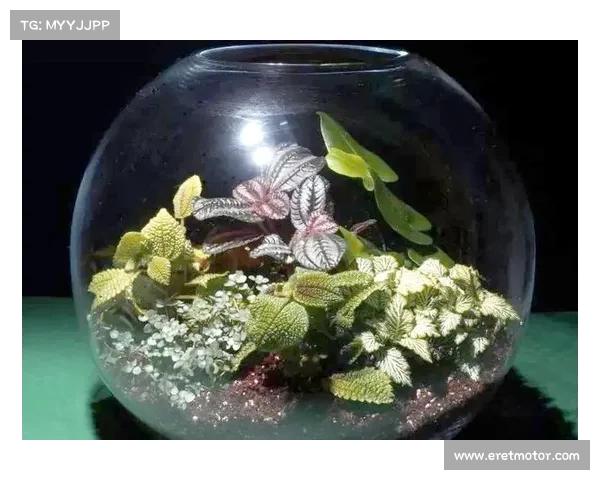 卷帘绿魔养护指南:提升绿植健康的五个关键技巧 卷帘绿魔养护指南:提升绿植健康的五个关键技巧