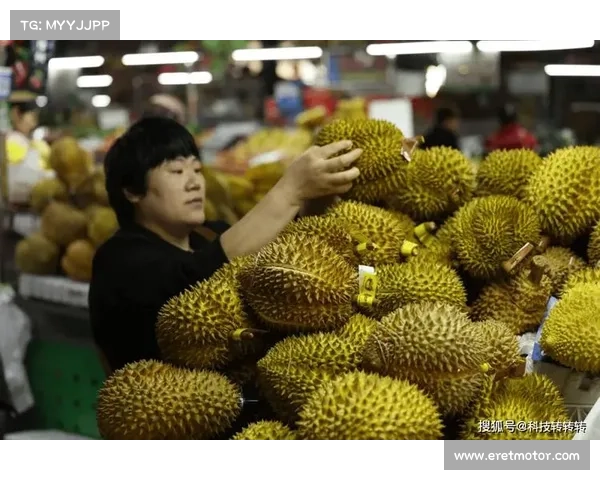 张德培携手团队夺2024澳门网球名人赛冠军揭秘背后成功秘诀